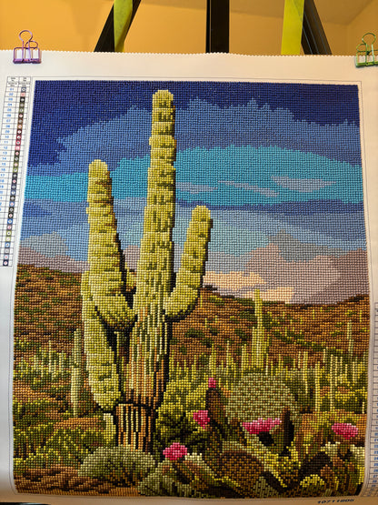 Cactus Painting, Completed Diamond Painting, Make Market