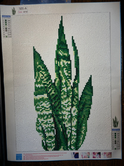 Snake Plant, Completed Diamond Painting, OPOUNT