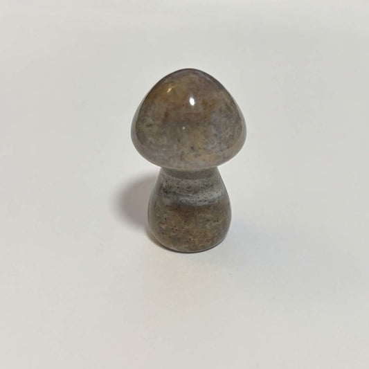 Ocean Jasper Mini Mushroom Carving – Natural Crystal Stone (CR-M2)