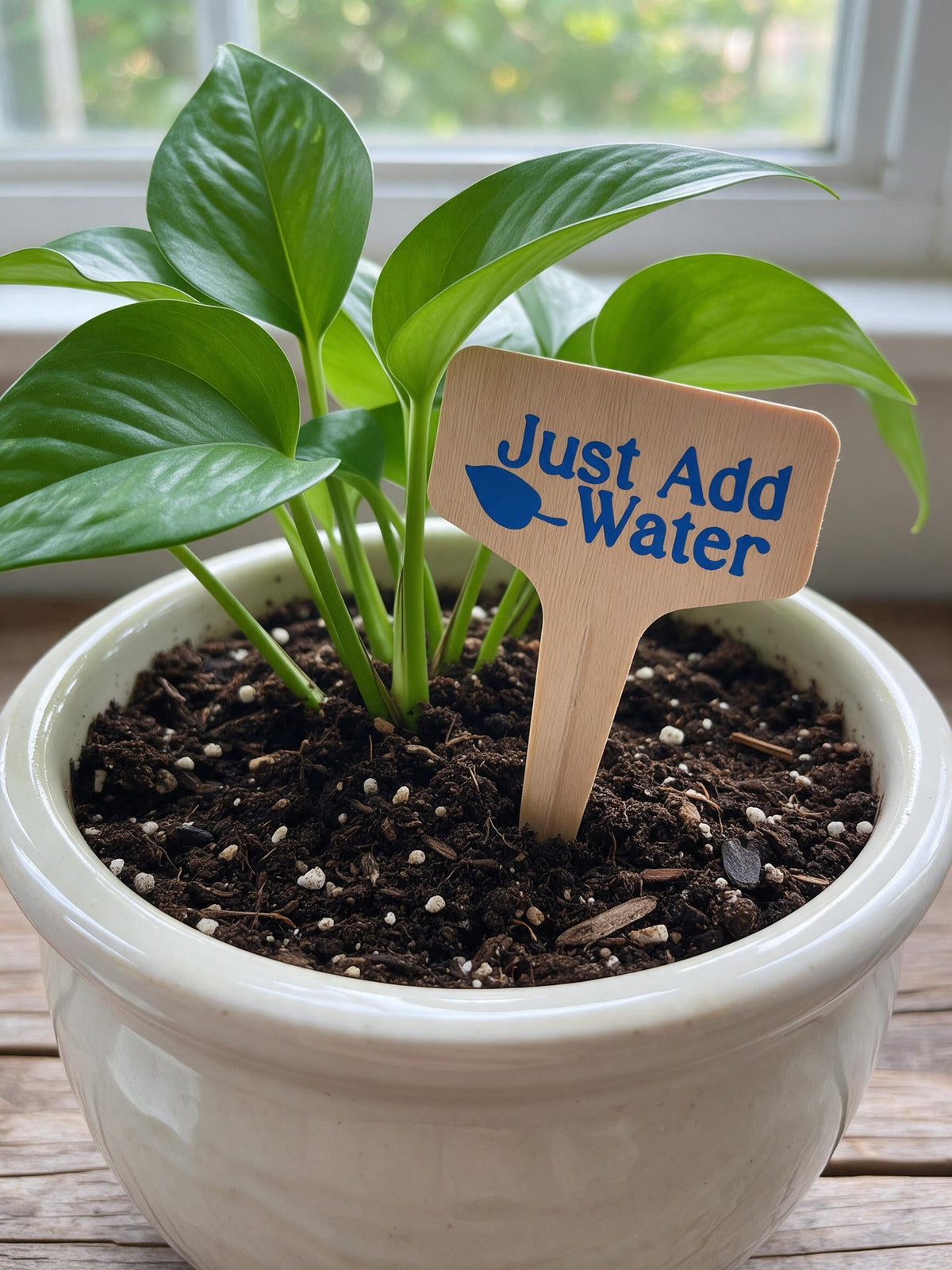 Individual Plant Markers