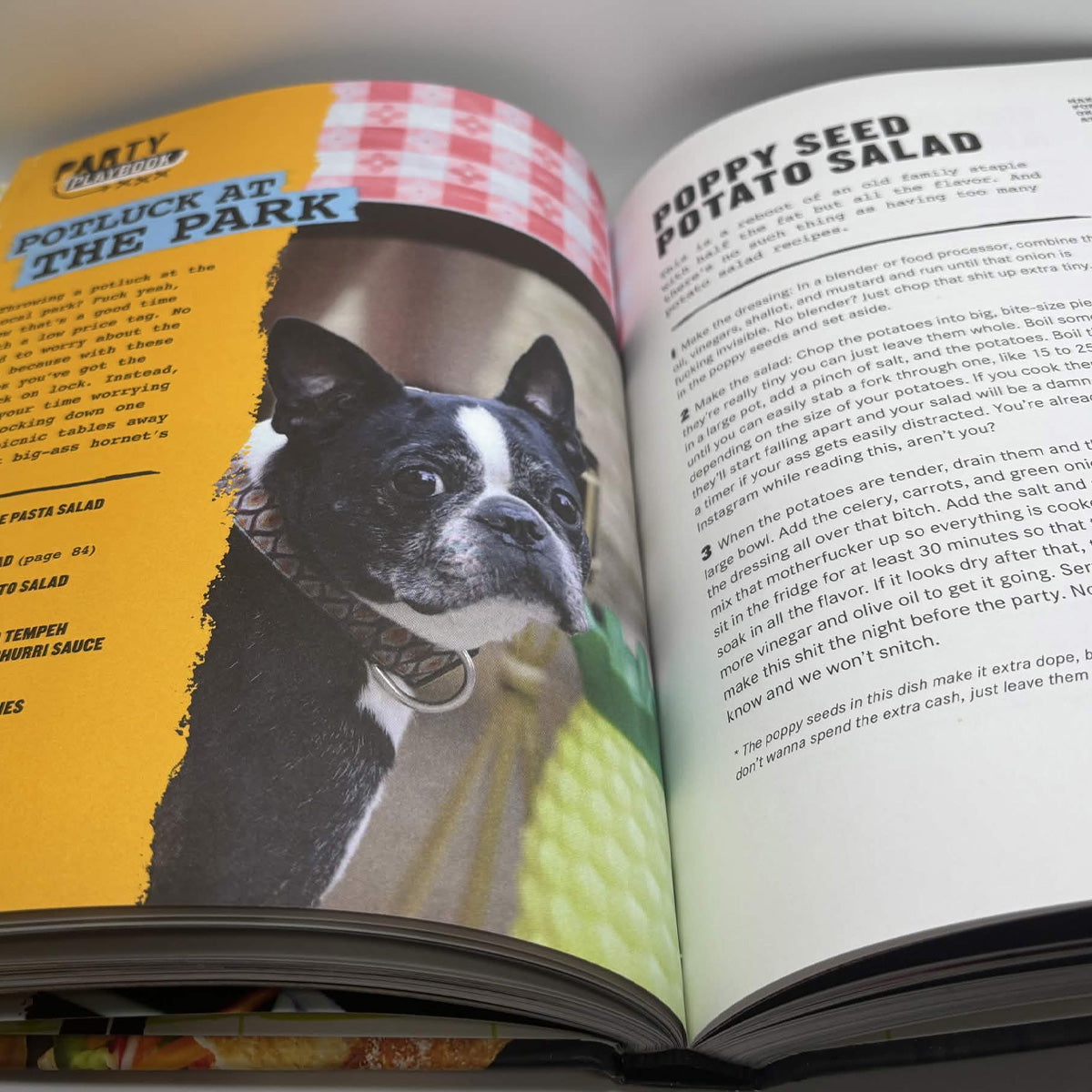Thug Kitchen: Party Grub – Vegetarian Hardcover – 2015 First Canadian Edition