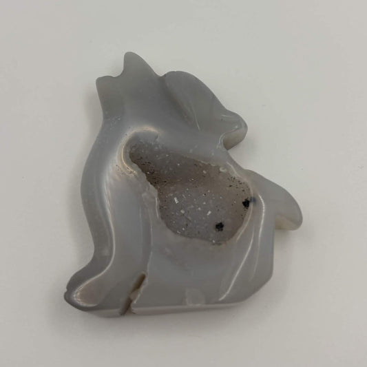 Agate Coyote Carving with Druzy Quartz Pocket