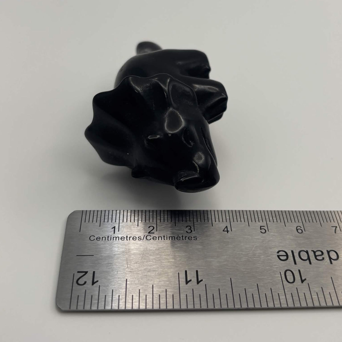 Polished Black Obsidian Triceratops