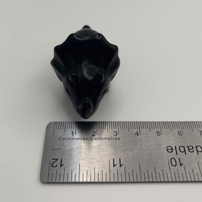 Polished Black Obsidian Triceratops