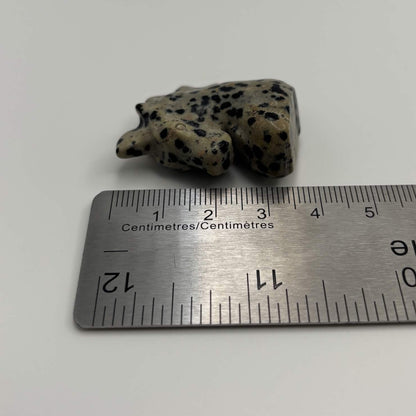 Polished Dalmatian Jasper Unicorn Head