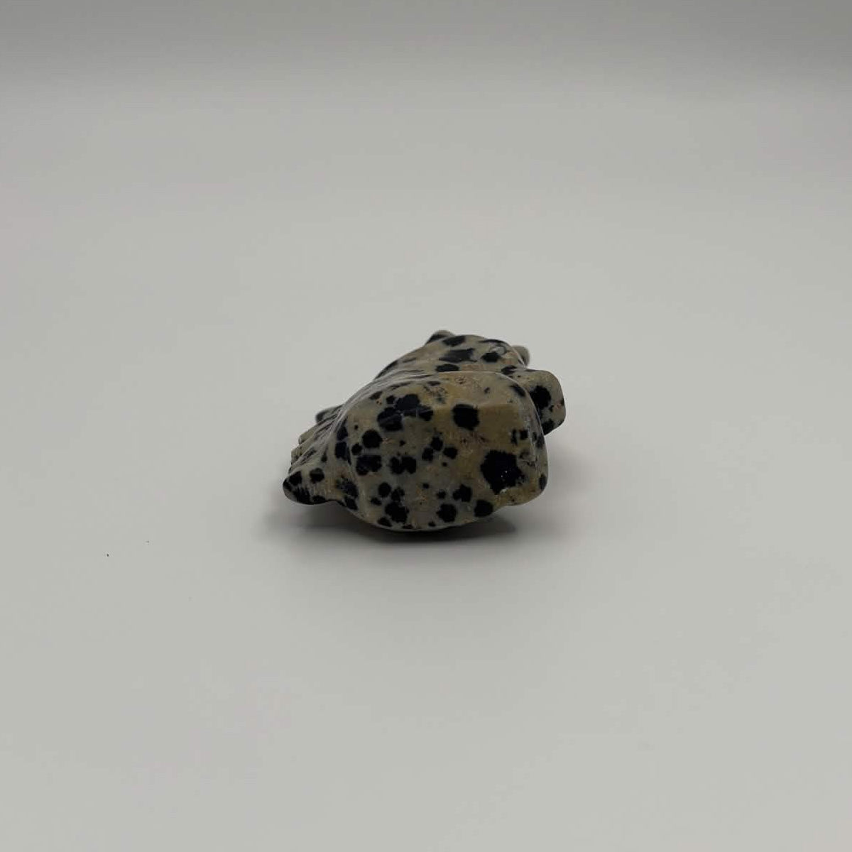 Polished Dalmatian Jasper Unicorn Head
