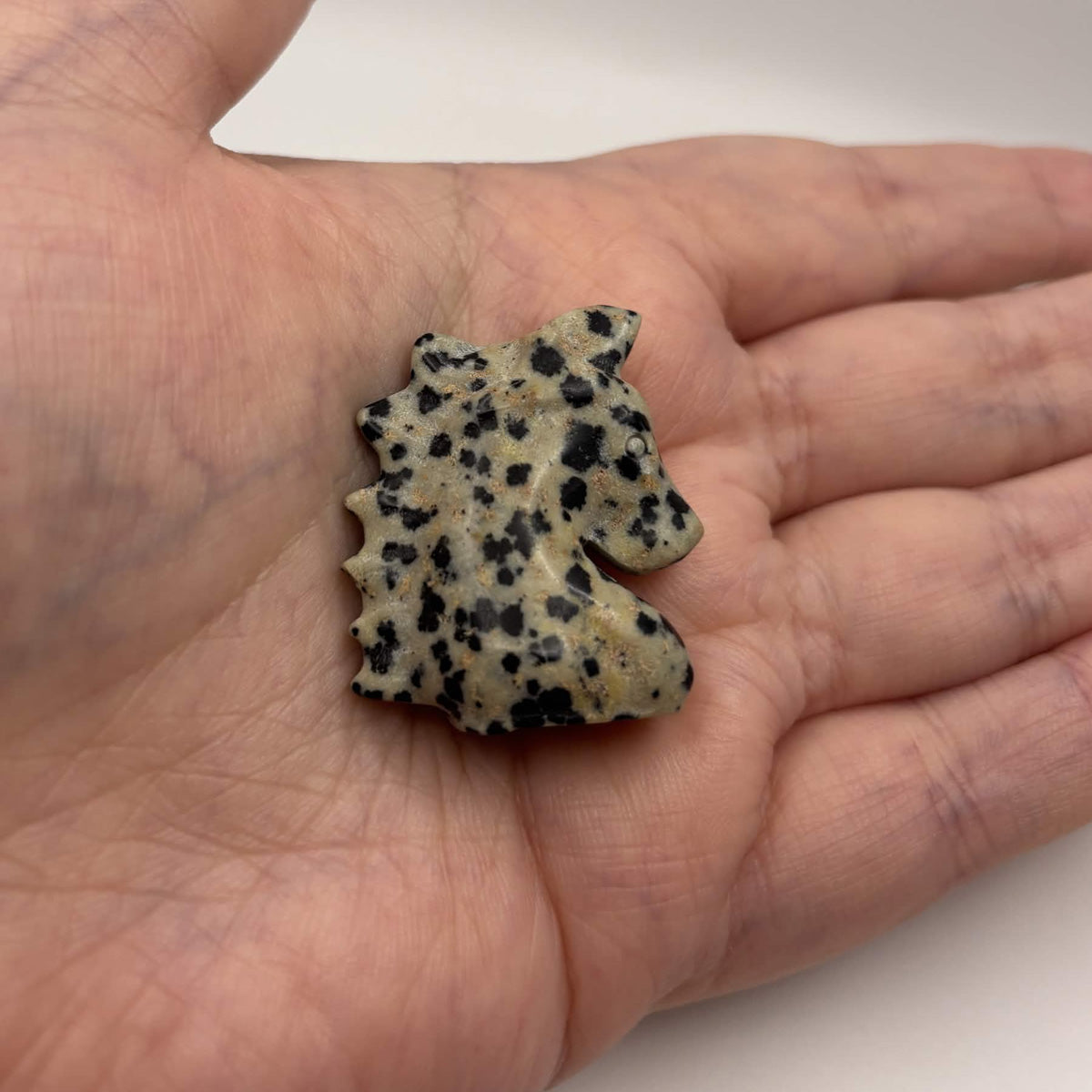 Polished Dalmatian Jasper Unicorn Head