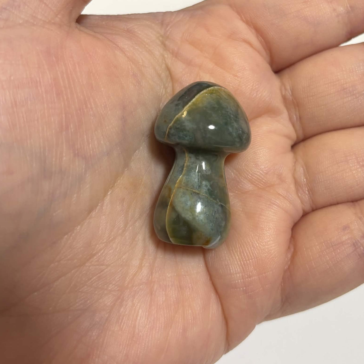 Ocean Jasper Mini Mushroom Carving – Natural Crystal Stone (CR-M1)