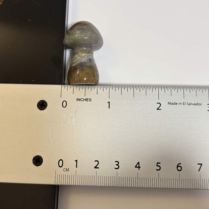 Ocean Jasper Mini Mushroom Carving – Natural Crystal Stone (CR-M2)