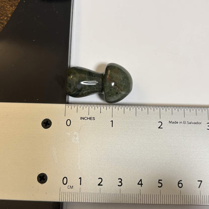 Ocean Jasper Mini Mushroom Carving – Natural Crystal Stone (CR-M4)