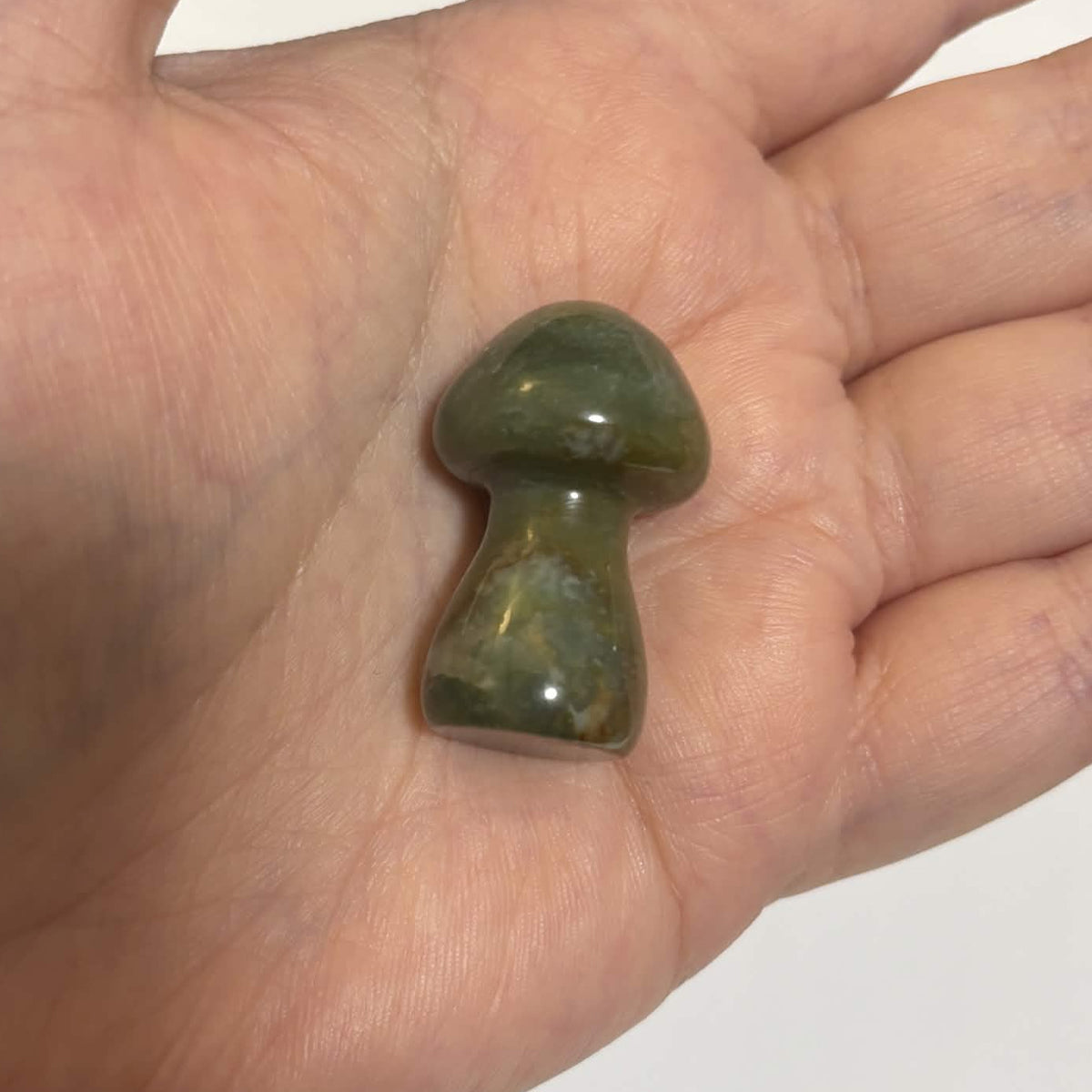 Ocean Jasper Mini Mushroom Carving – Natural Crystal Stone (CR-M5)