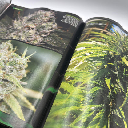 High Times Magazine — November 2009 — Special 35th Anniversary Issue