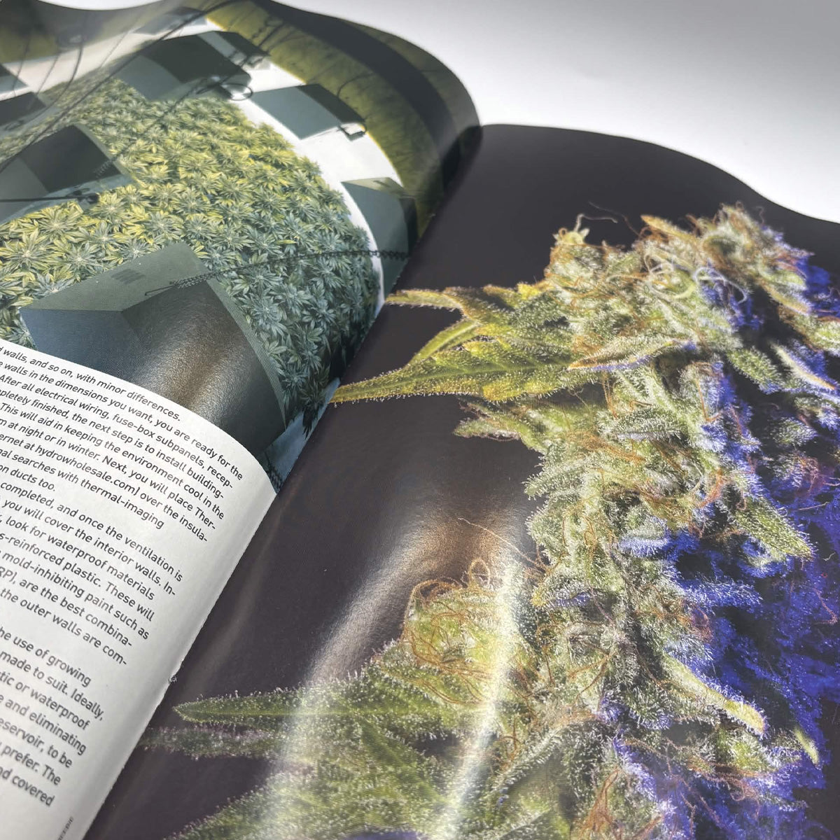 High Times Magazine — November 2009 — Special 35th Anniversary Issue