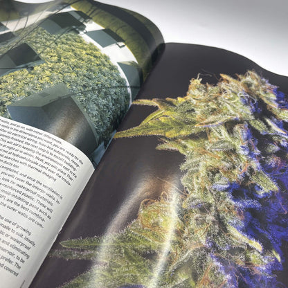 High Times Magazine — November 2009 — Special 35th Anniversary Issue